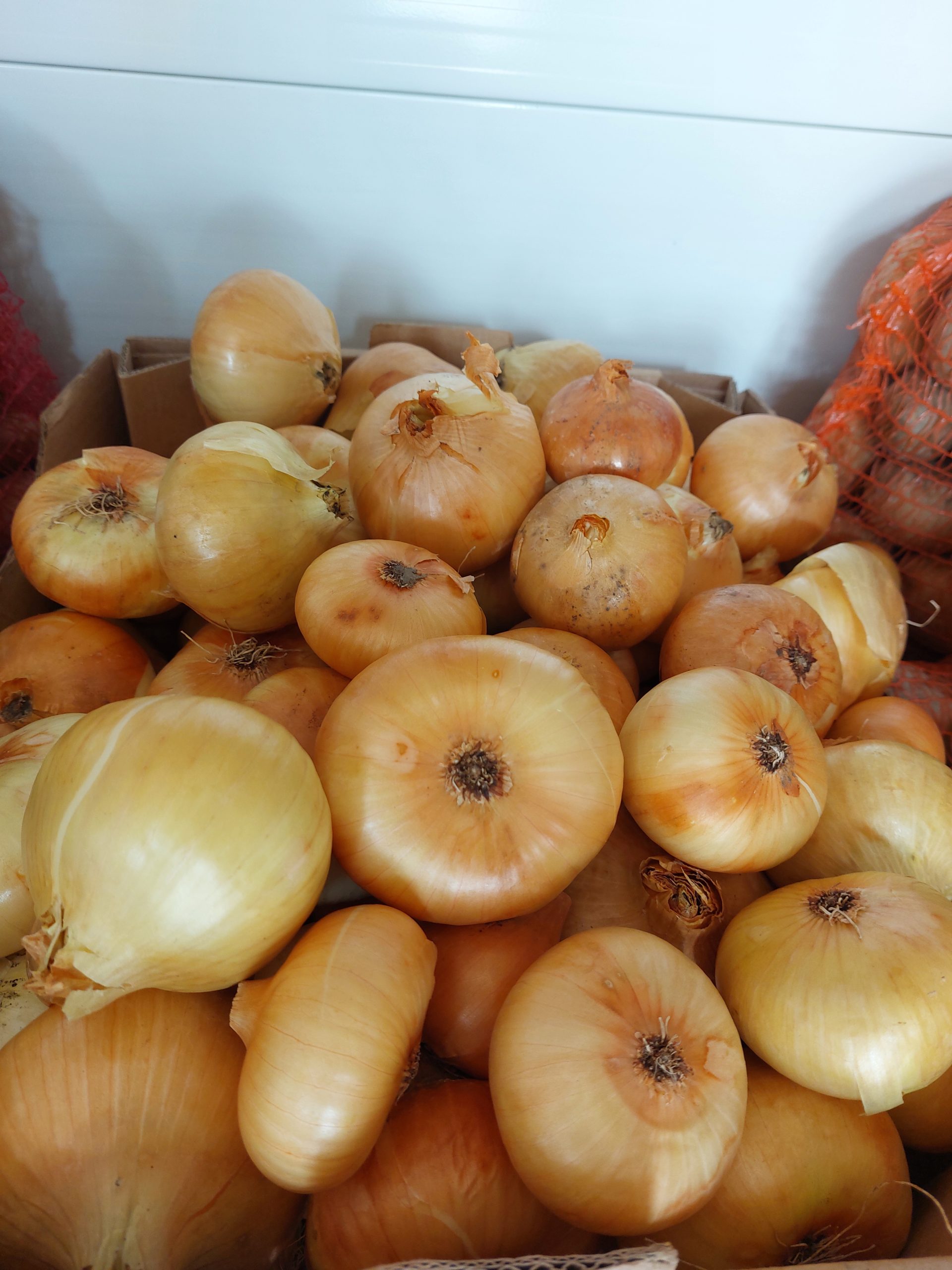 Ceapă galbenă 5 kg